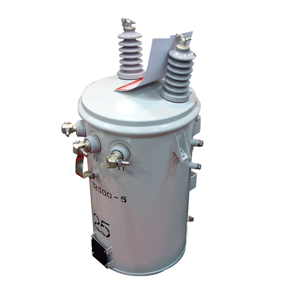 What is an Oil Type High Voltage Transformer